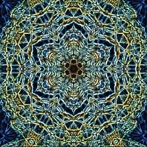 Virus
