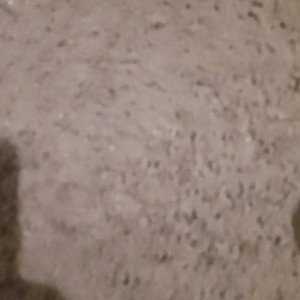 NotesLouie-Stay on Point