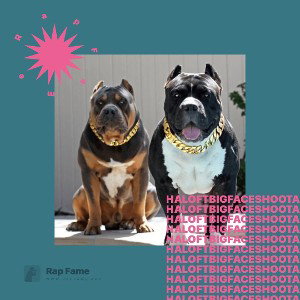 BIGFACESLAUGHTA X HALO FT BIGFACE SHOOTA
