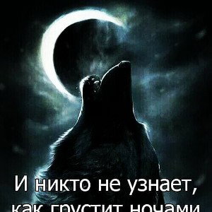  Он Блатной 