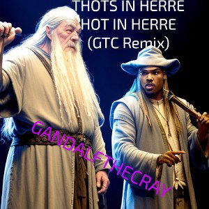 Thots in Herre! (Hot in Herre GTC Remix)