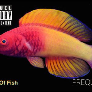 Plenty_of_fish