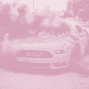 pussy on my face (Bass Boost)