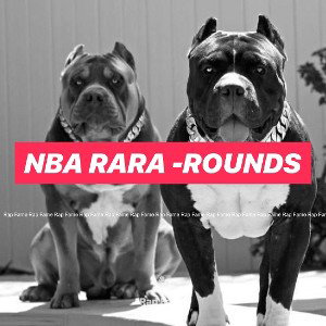 NBA rara -rounds 
