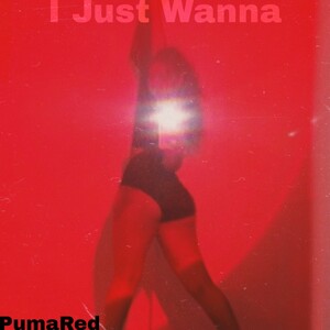 I Just Wanna