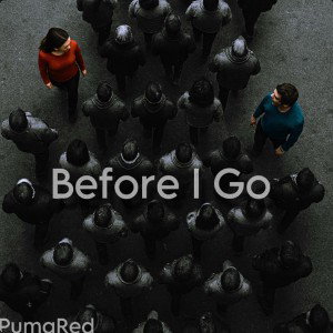 Before I Go