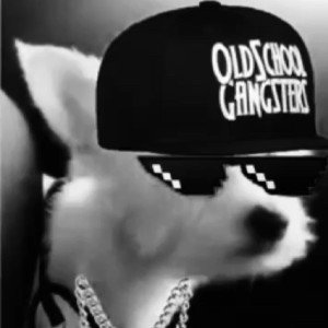 whitey the lil gangster dog - by ginger island 