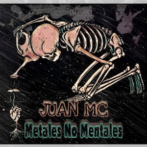 Metales No Mentales
