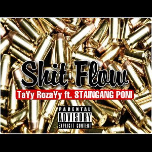 shit flow ft. STAINGANG PONI