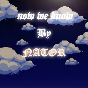 NATOR - now we know