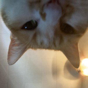 FREEZE (19:02:54)