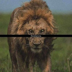 me encataria- EliasLC