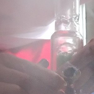 Short trip/freestyle/WhitApe 