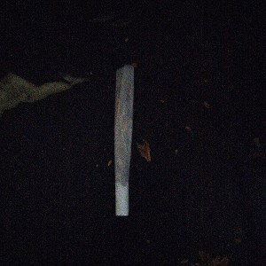 cigarettes 