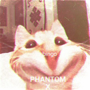 bingo