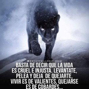 maldito rincon 