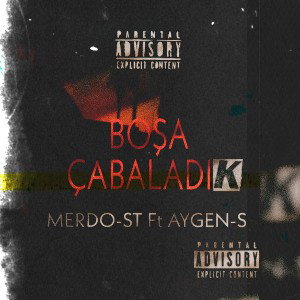 Boşa Çabaladık 