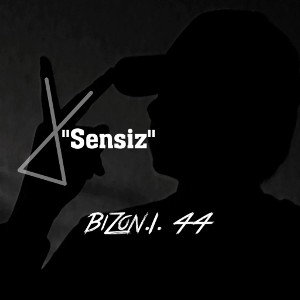 Sensiz