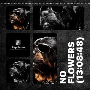no flowers (13:08:48)