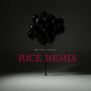 NF - WHEN I GROW UP (RICE REMIX)