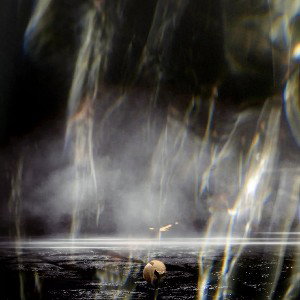 CvZ - dans la tourmente 