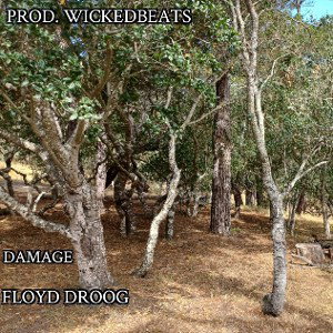 Damage (Prod. WickedBeats)
