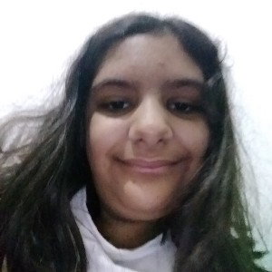 meu primeiro