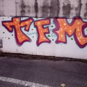 tfm- lirikas y más lirika
