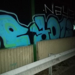 tfm-lo hago porque me gusta