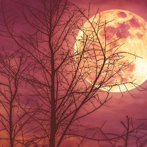 La Luna | 31