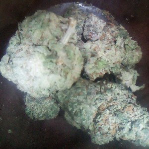 Big City - Home Grown