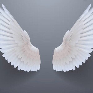 DoveFellas @rapfame_ar_team