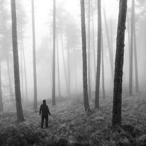 LOST