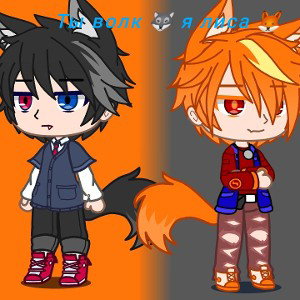 Ты волк 🐺  я лиса 🦊