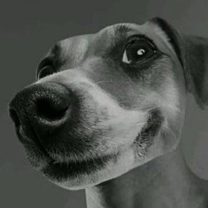 ЛУЧШИЙ 