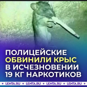 les33-МИКРАЖ