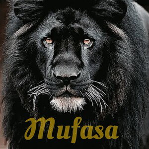 Mufasa