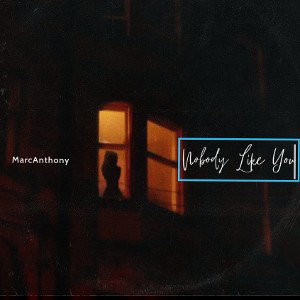 Nobody Like You