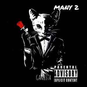 MANY 2