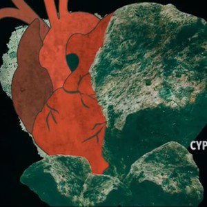 cypress t- Concrete Heart