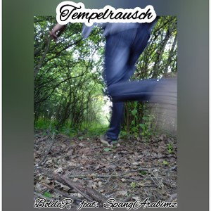 Tempelrausch///BoldeR feat SpangArabimz