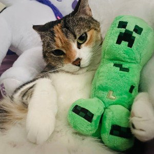 Sussy Cat (sad)
