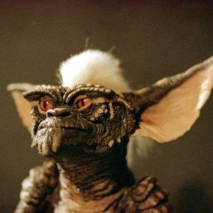 gizmo sucks!