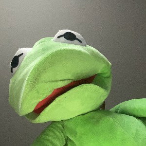 I am Kermit!
