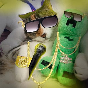 Sussy Cat (Rapper)