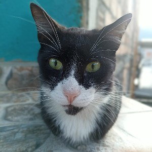 consejo a un amigo 