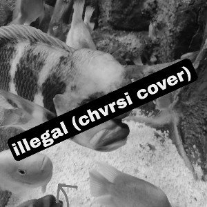 illegal