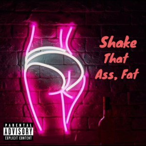 D N D - Shake that a#$_ Fat 