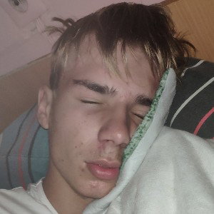 Diss trifonov