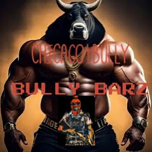 Chicago Bully - Bully Bars